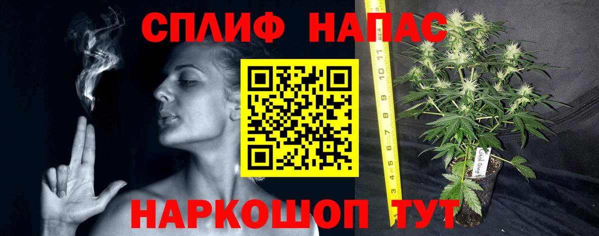 Марихуана гибрид Шелехов